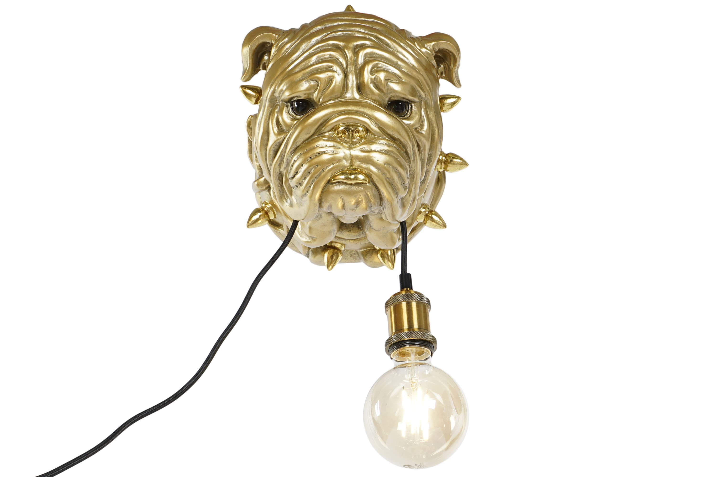 Aplica Golden Bulldog din Rasina 25x23x29cm