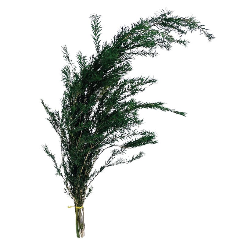 Buchet Frunze Naturale Uscate 86cm