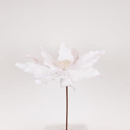 Craciunita Artificiala White D44x50cm