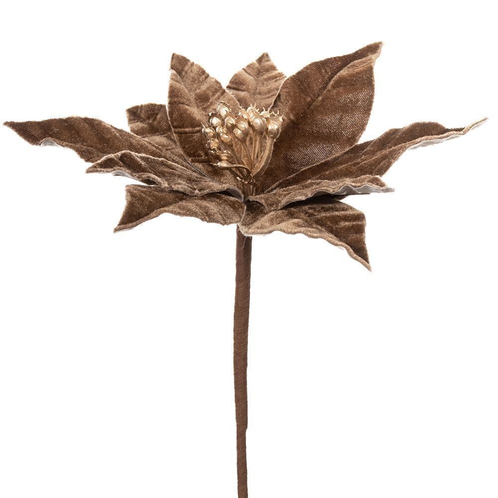 Craciunita Brown 23x35cm