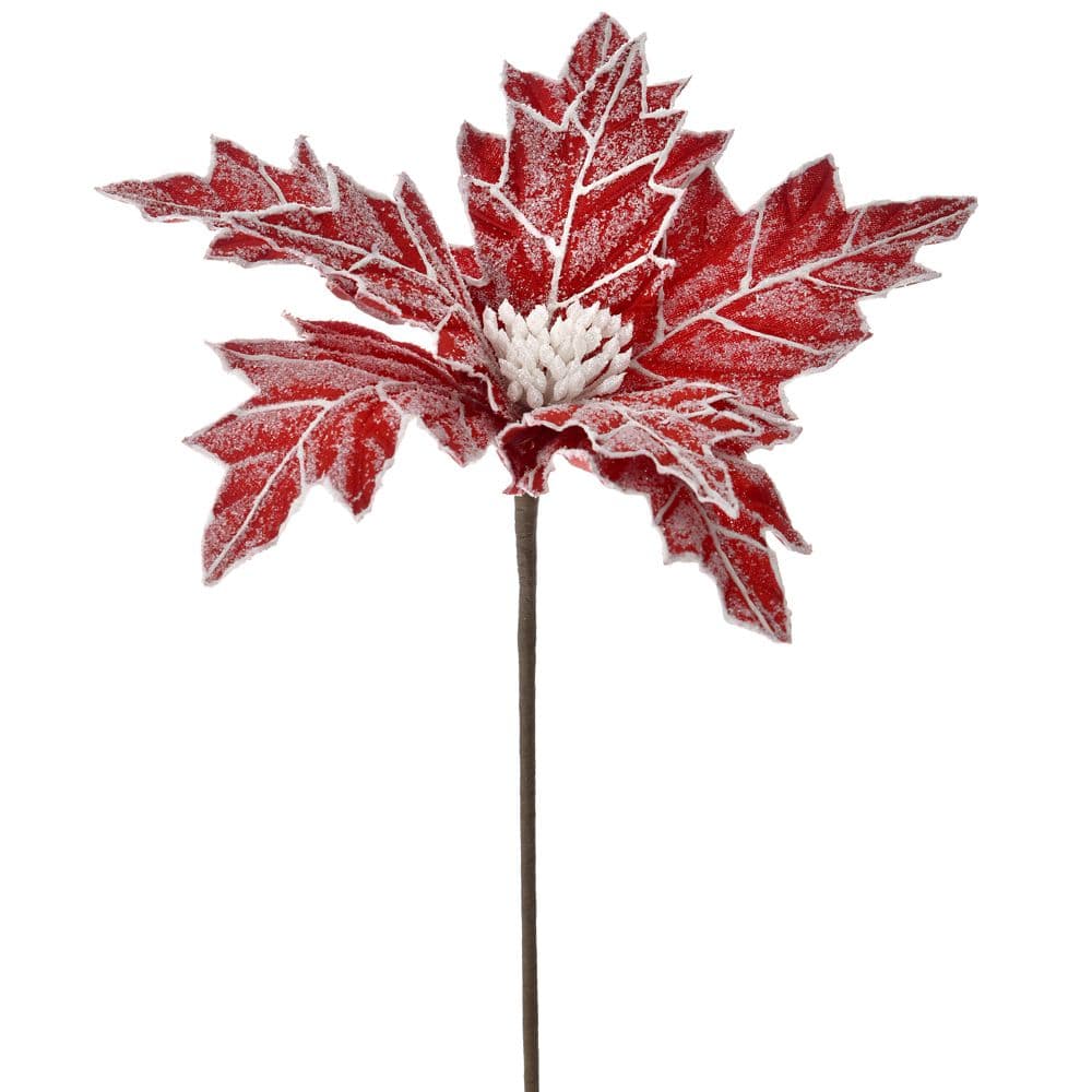 Craciunita Frosted Red 30x65cm