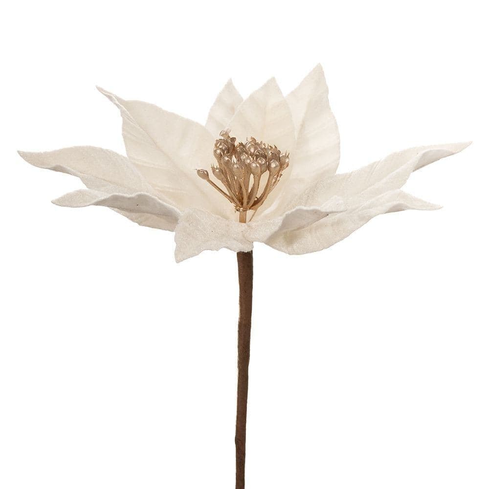 Craciunita Ivory Gold 23x35cm