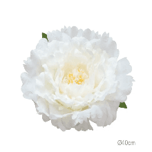 Bujor Artificial White D40cm