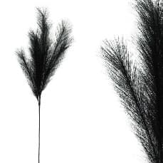 Pampas Artificial Negru 115cm