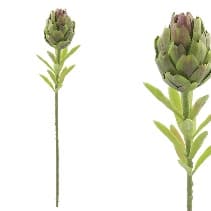 Planta Artificiala Protea Green D7x56cm