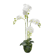 Orhidee Artificiala White 98cm