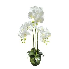 Orhidee Artificiala White 82cm