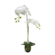 Orhidee Artificiala Pink 68cm