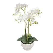 Orhidee Artificiala White in Ghiveci H45cm