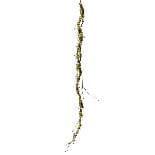 Creanga Artificiala cu Muschi 170cm