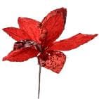 Craciunita Red D20x25cm