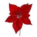 Craciunita Red 25cm