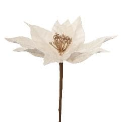 Craciunita Ivory Gold 23x35cm