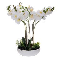Orhidee Artificiala Alba in Ghiveci din Ceramica 55cm