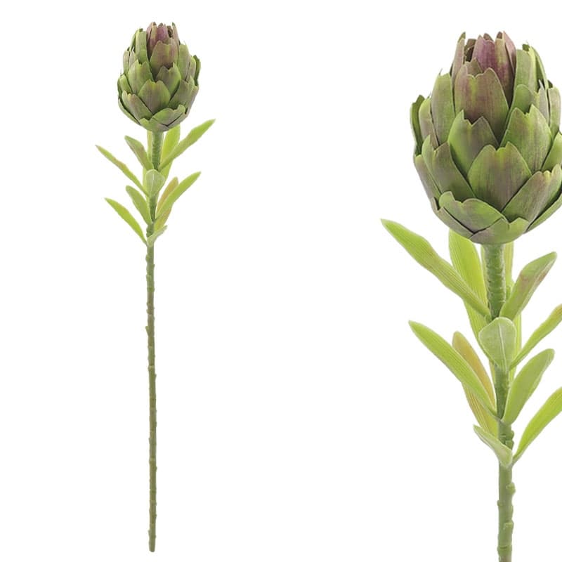 Planta Artificiala Protea Green D7x56cm