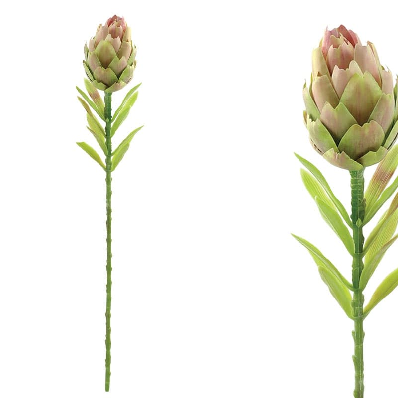 Planta Artificiala Protea Green Pink D7x56cm